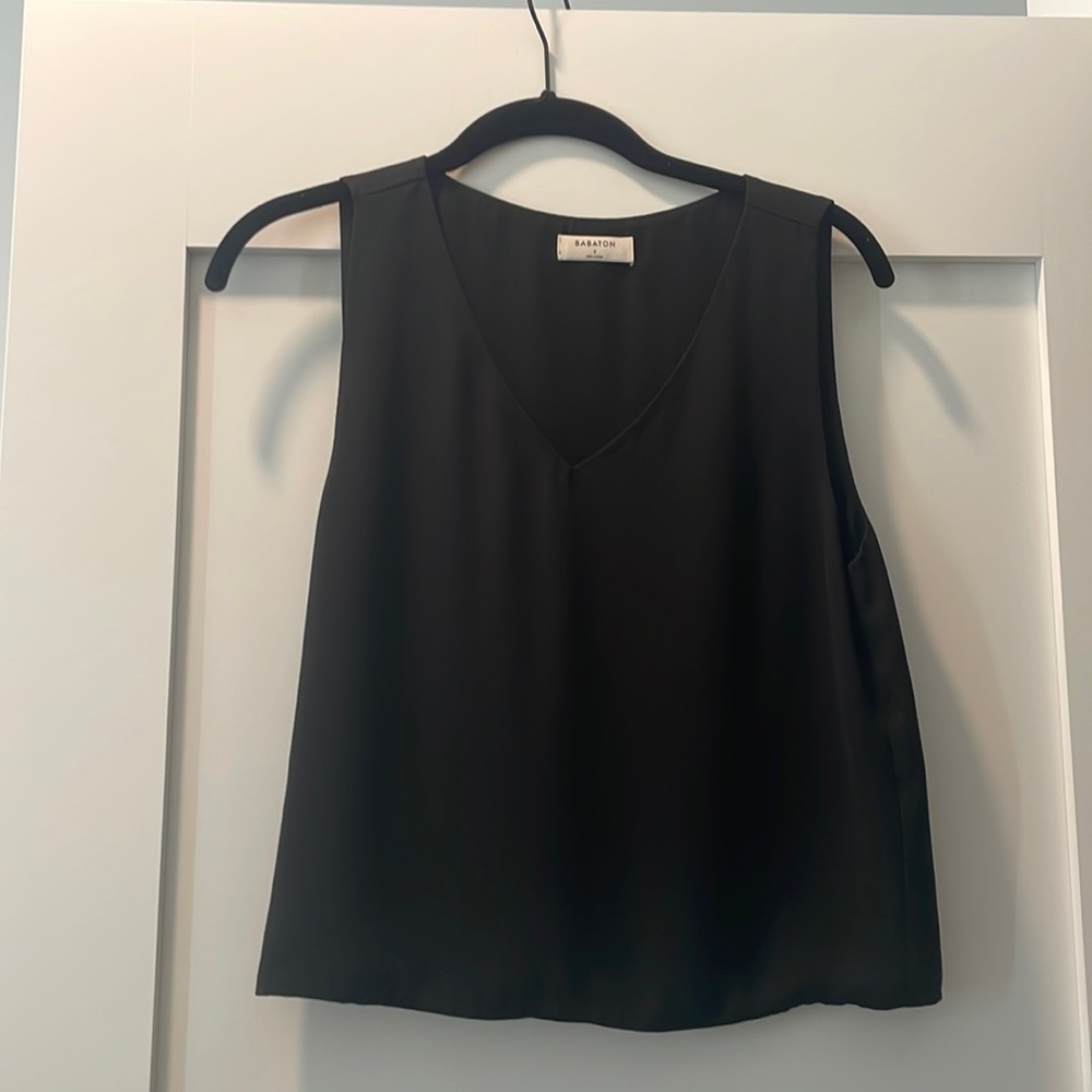 Aritzia Babaton Top